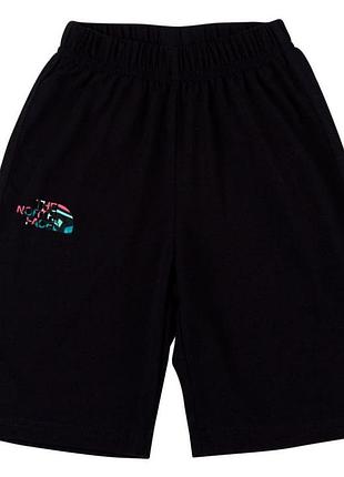 Чоловічі шорти the north face w14 xs