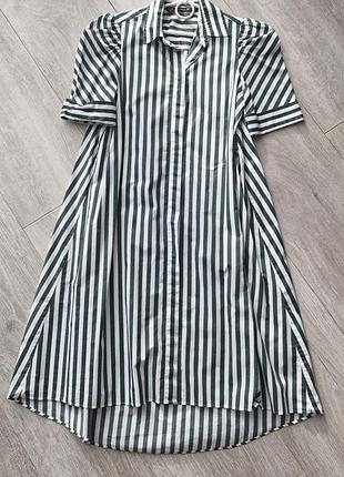Zara сукня сорочка у смужку біло-зелену, бавовна 100%