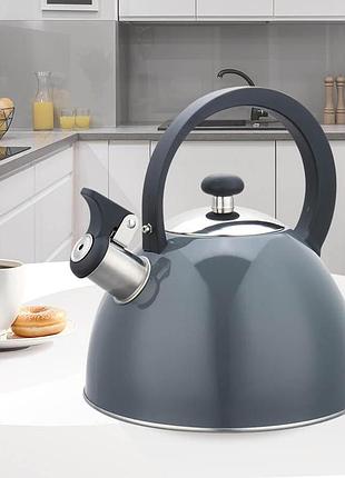 Чайник со свистком maestro мr-1302grey 2.5 л серый
