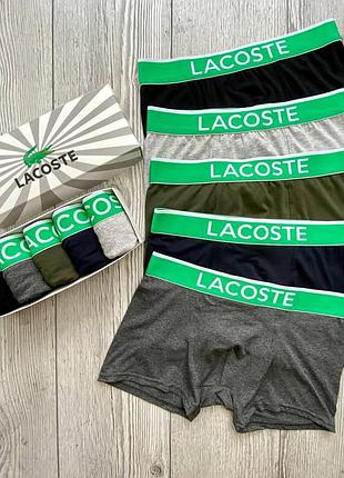 Труси lacoste. чоловічі труси. чоловіча білизна труси для чоловіків. набір чоловічих трусів xxxl