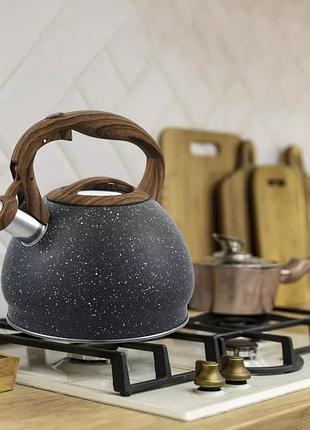Чайник со свистком gusto пират gt-1411-30 3 л