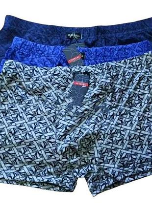 Боксери бамбук арт.1033 2шт р.2xl тм vasall