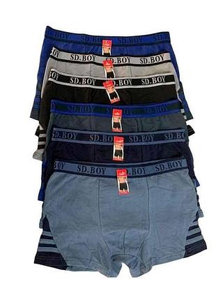 Боксери чол арт.5002 2шт р.xl тм sd boy