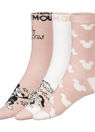 Шкарпетки набір 3 пари для жінки disney soft comfort lycra® 426445 35-38 різнобарвний