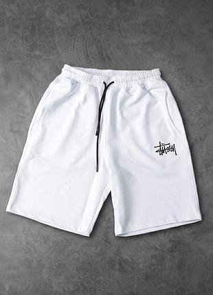 Чоловічі шорти stussy