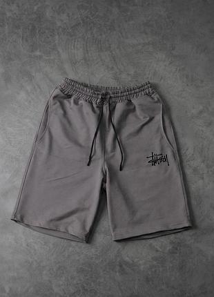Чоловічі шорти stussy