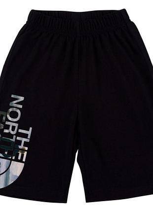 Мужские шорты the north face w1 xxl