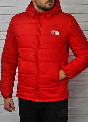 Мужская куртка the north face v9 m