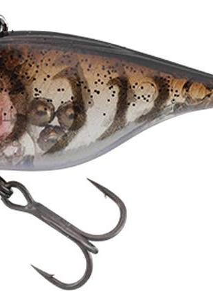 Воблер jackall tn38 38mm 5.1g mamo shrimp