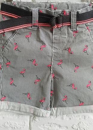 Шорти на хлопчика primark