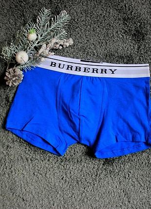 Мужское белье burberry blue