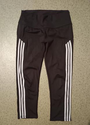 Велосипедки спортивные женские, м. 35