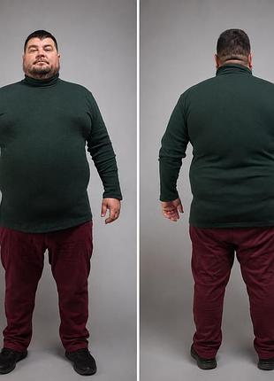 Водолазка мужская батальная, тёплая, однотонная, цвет темно-зеленый 8xl , мужской гольф темно-зеленый огромного размера 68р