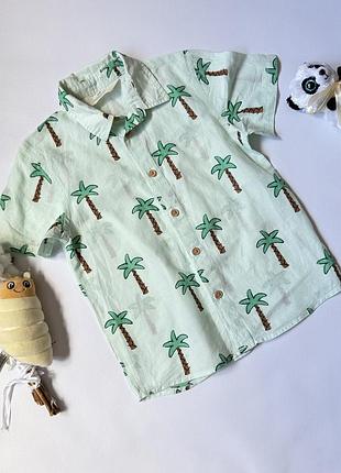 🩵🌴 повітряна легка h&m сорочка з пальмами 4–5 років 🌴🩵