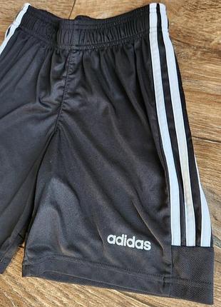 Шорты adidas Ребенок 2