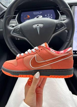 Женские кроссовки nike sb dunk low кроссы найки сб данк для женщин красные стильные найк повседневные 44