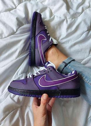 Кроссовки найк сб данк лоу для мужчин фиолетовые удобные кожа nike sb dunk low purple lobster 40