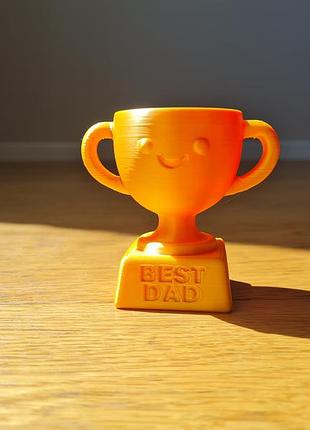 Кубок"best dad". 2