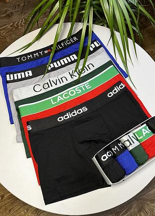 Труси чоловічі боксери calvin klein 5 шт. у подарунковій коробці труси чоловічі боксери спідня білизна xxxl