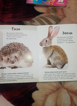 Книжки для малышей 2