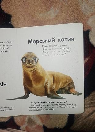 Книжки для малышей 4