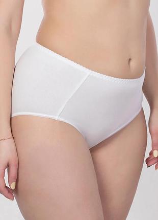 Трусики elita 2503 білий 102 (l) xl