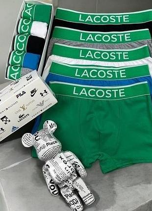 Набор мужского хлопкового белья lacoste 5 штук в фирменной коробке l