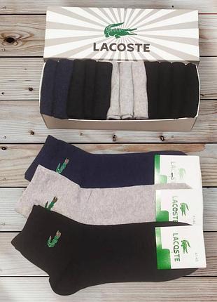 Носки мужские шкарпетки lacoste - 12 пар в коробке лакоста / чоловічі шкарпетки носки 2br-s