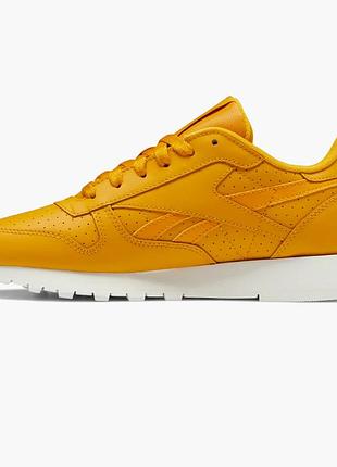Urbanshop com ua кросівки жіночі reebok classic leather shoes orange gy1579 розміри запитуйте