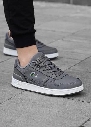 Осенние мужские кроссовки lacoste t-clip серые весенние кожаные, мужские кеды лакоста классические