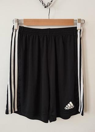 Мужские шорты adidas aeroready primegreen
