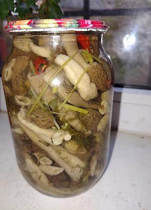 Морская шапочка маринованные