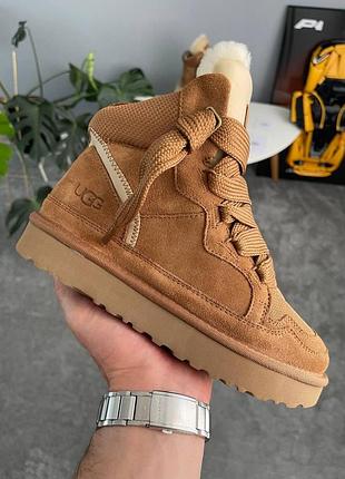 Жіночі бежеві черевики ugg lowmel sneaker high chestnut х угг бутс 41