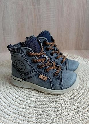 Черевики ecco 23 р. 14.5 см.