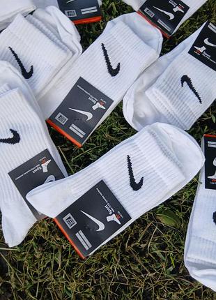 Шкарпетки nike білі