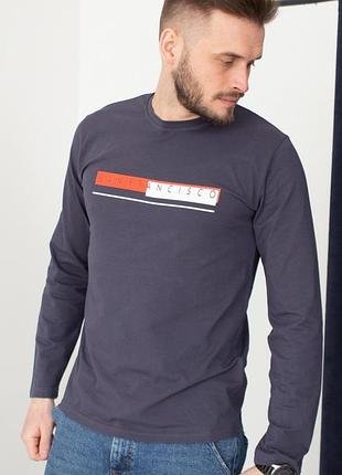 Лонгслив мужской hector футболка с длинным рукавом с надписью и принтом антрацитовый