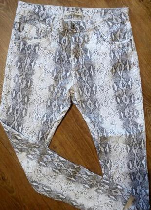 Штаны со змеиным  принтом