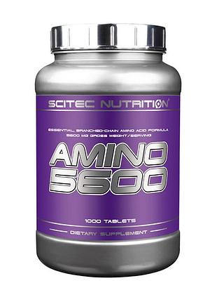 Аминокислоты scitec nutrition amino 5600 1000 tabs | для восстановления мышц