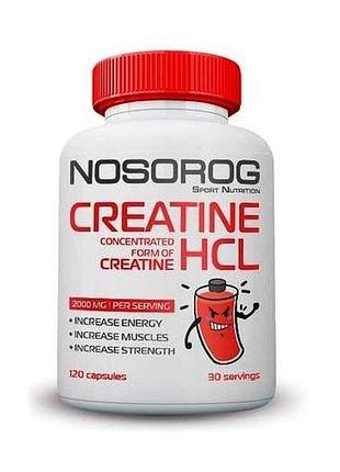 Креатин nosorog creatine hcl 120 капсул