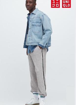Джогери uniqlo