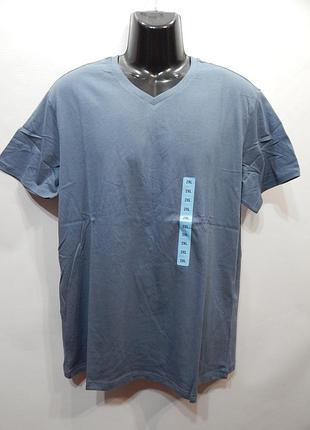 Мужская футболка regular р. 54-56 (2xl) 021фм (только в указанном размере, только 1 шт)