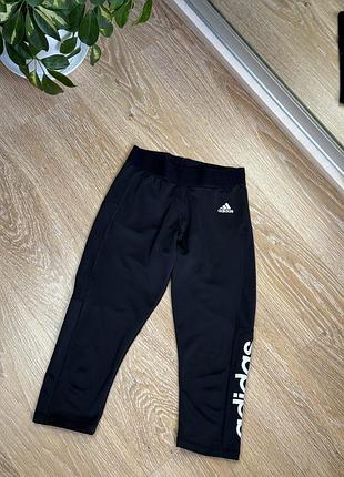 Спортивні велосипедки adidas