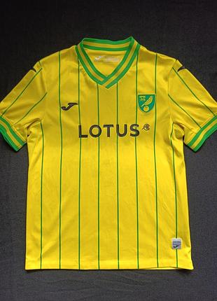Футболка норвіч joma