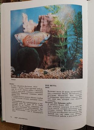 "мир аквариума" 9