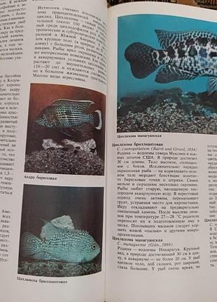 "мир аквариума" 7