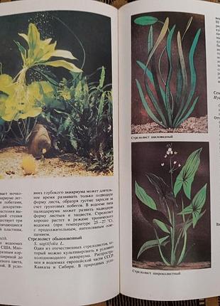 "мир аквариума" 8