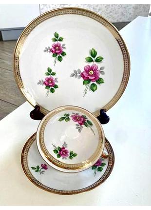 Вінтажна  порцелянова чашка winterling marktleuthen