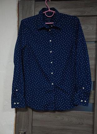 Трендова сорочка в горошок gant
