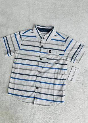 Сорочка calvin klein jeans прикрашена класичним смугастим візерунком у біло-синіх тонах