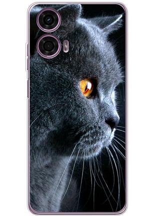 Чохол силіконовий з картинкою на motorola g24 (британський кіт)